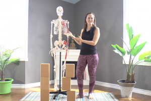 YogAnatomie : 2 exercices simples pour renforcer vos abdos !