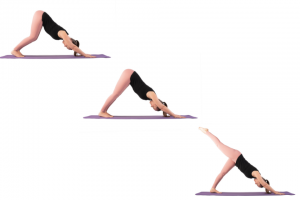 Adho Mukha Svanasana .