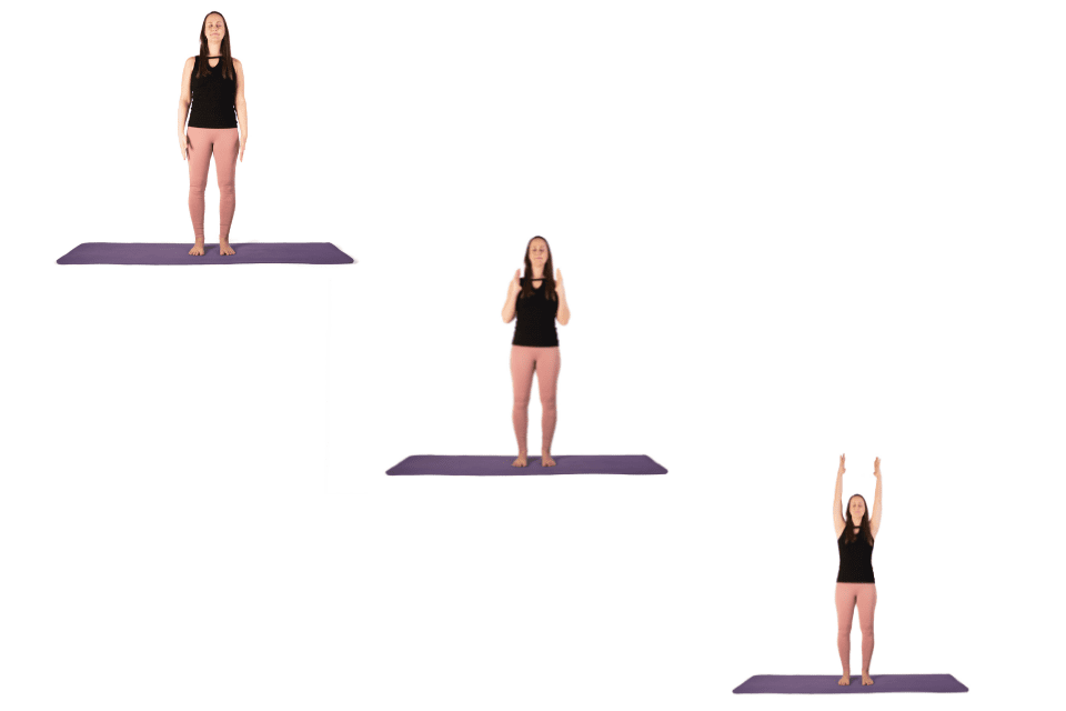 Parmi les postures « classiques » du yoga, on retrouve assurément Tadasana, la posture de la Montagne. En apparence simple, cette posture est pourtant exigeante.