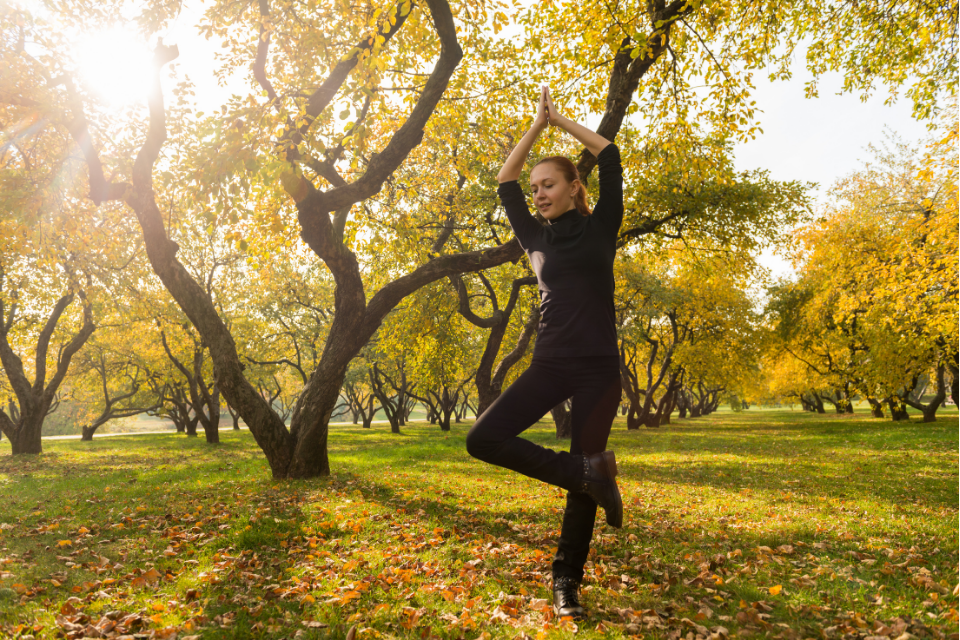 Beaucoup de gens adorent l’automne pour son temps frais et ses jolies couleurs ! Quel yoga pratiquer pour ces longues journées ensoleillées ?